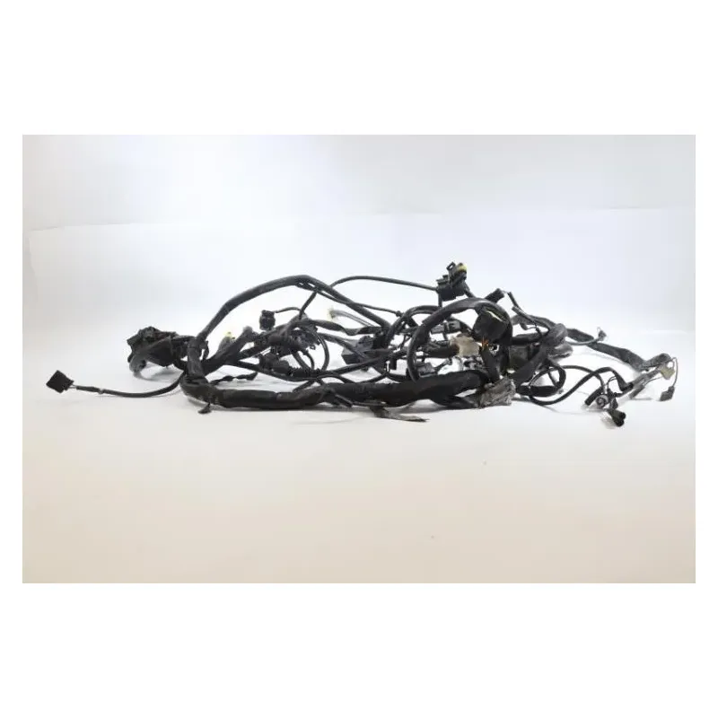 Faisceau electrique DUCATI MONSTER 695 2006 - 2007