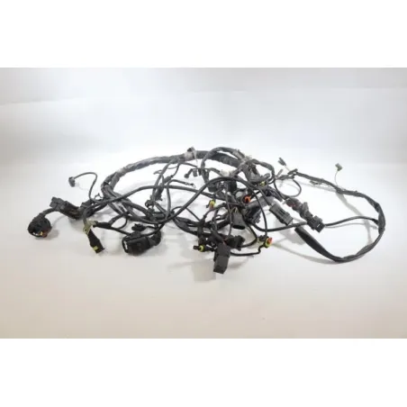 Faisceau electrique DUCATI MONSTER 695 2006 - 2007
