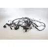 Faisceau electrique DUCATI MONSTER 695 2006 - 2007 Faisceau electrique DUCATI MONSTER 695 2006 - 2007