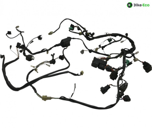Faisceau electrique KAWASAKI KLV 1000 2004-2005