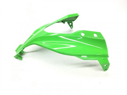 Cache carenage tete de fourche KAWASAKI NINJA 300 2013-2016