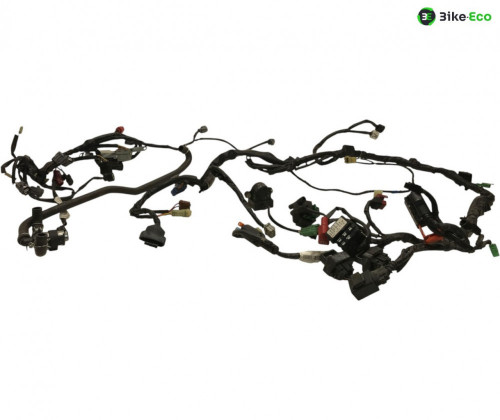 Faisceau electrique HONDA CB F 600 2007-2013 HORNET