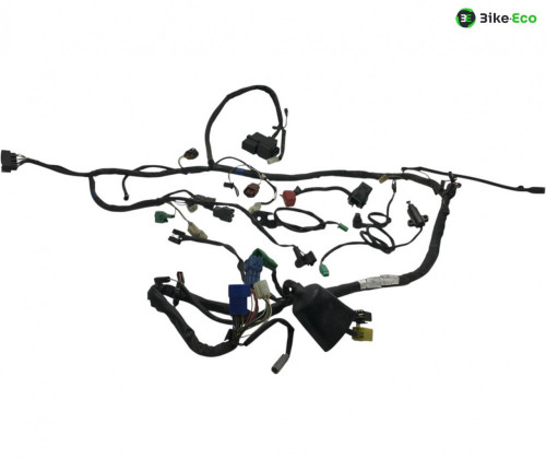 Faisceau electrique SUZUKI GSF 1200 2001-2005 BANDIT S