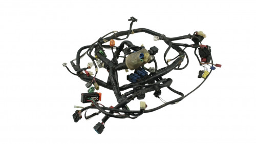 Faisceau electrique HONDA FORZA 250 ABS 2005 - 2006