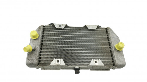 Radiateur eau HONDA FORZA 250 ABS 2005 - 2006