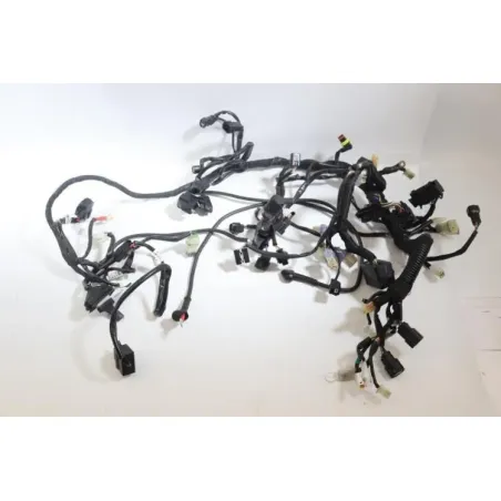 Faisceau electrique HUSQVARNA VITPILEN 701 2018 - 2020