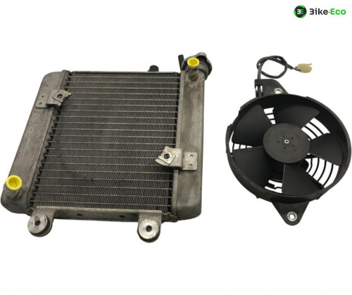 Radiateur eau HONDA FES 125 2007-2013 S-WING