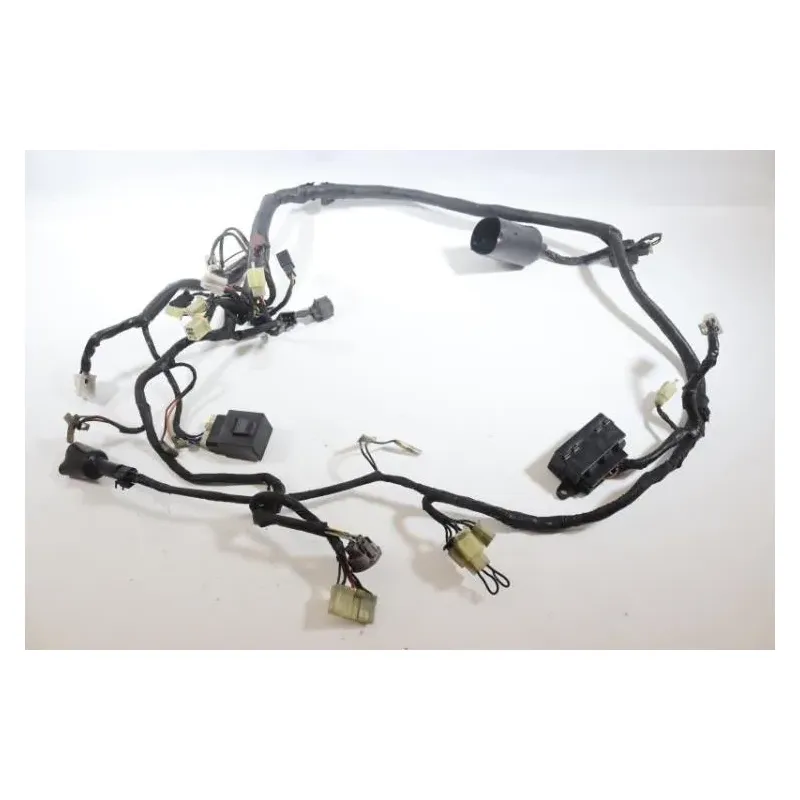 Faisceau electrique YAMAHA TDM 850 1996 - 2002