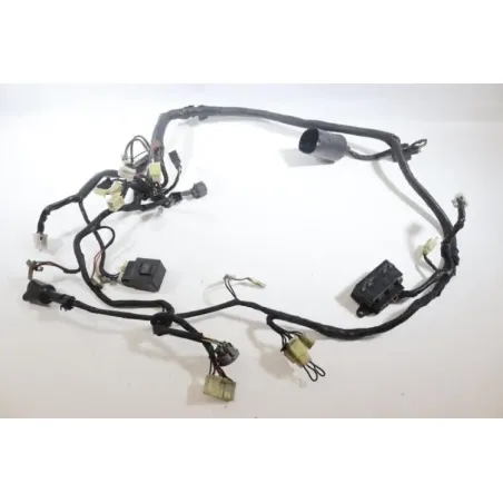 Faisceau electrique YAMAHA TDM 850 1996 - 2002