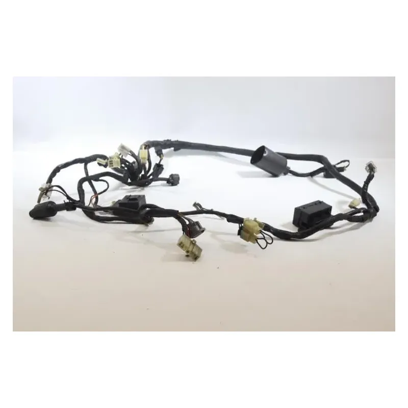 Faisceau electrique YAMAHA TDM 850 1996 - 2002