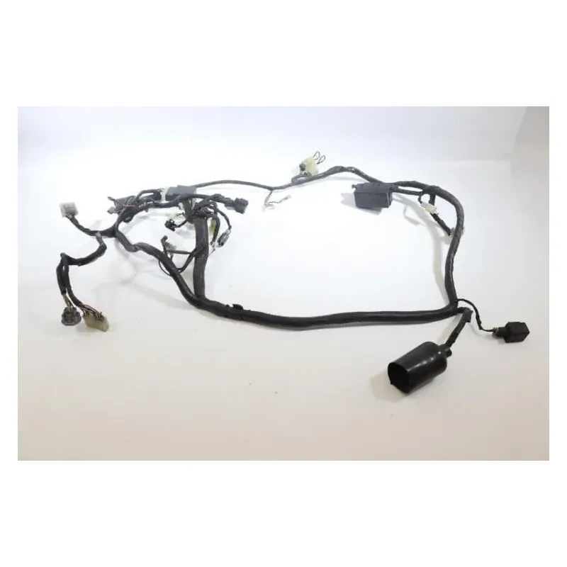 Faisceau electrique YAMAHA TDM 850 1996 - 2002