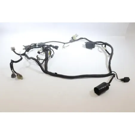 Faisceau electrique YAMAHA TDM 850 1996 - 2002