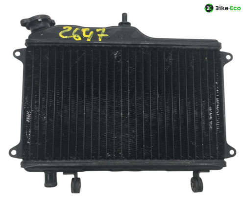 Radiateur eau YAMAHA TDR 250 1988-1990