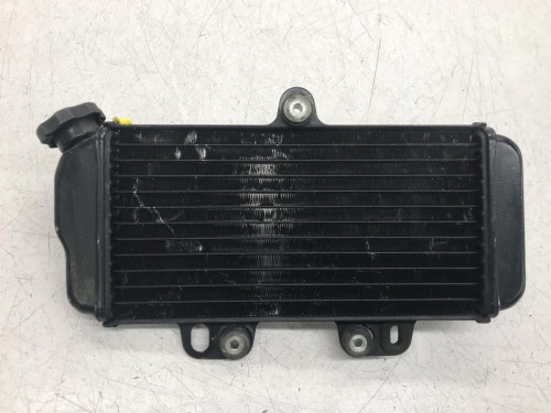 Radiateur eau YAMAHA TDR 125 1997-2003