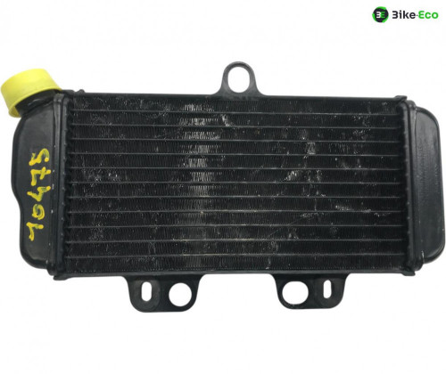 Radiateur eau YAMAHA TDR 125 1993-1996