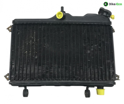 Radiateur eau YAMAHA TDR 250 1988-1992