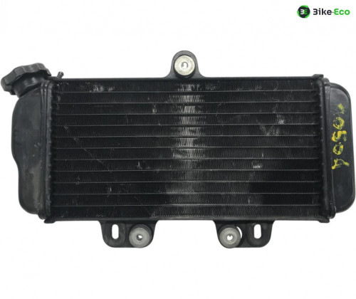 Radiateur eau YAMAHA TDR 125 1993-1996