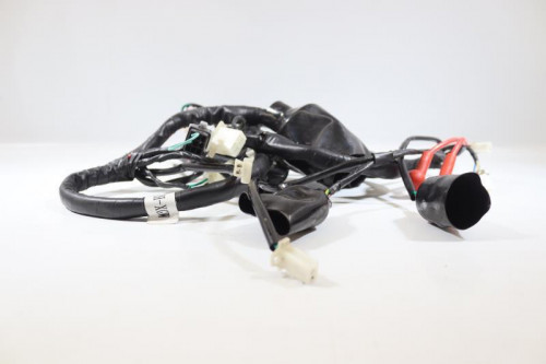 Faisceau electrique JM MOTORS 50 MIA RS 2020 -2021