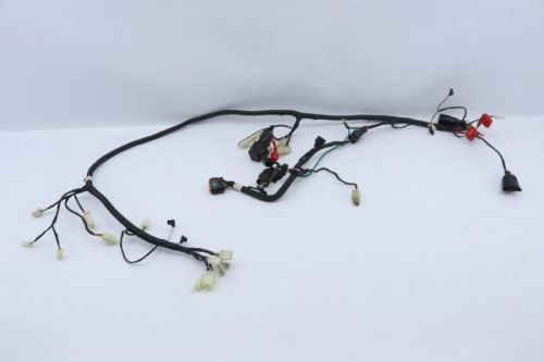 Faisceau electrique NECO 50 ONE RACING 2020 - 2021