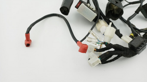 Faisceau electrique BRIXTON 125 CROMWELL 2020 - 2022