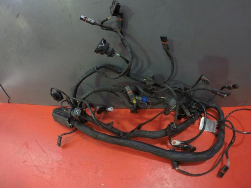Faisceau electrique BMW K 1200 R SPORT ABS 2007 - 2009