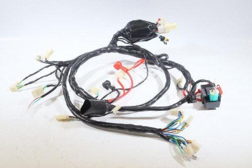 Faisceau electrique JM MOTORS 50 EVOLIS 2020 - 2021