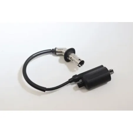 Bobine allumage PEUGEOT KISBEE 50 2010 - 2020