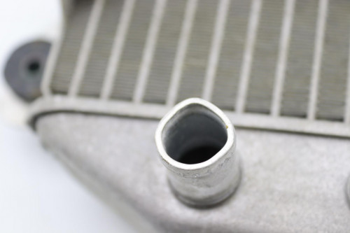 Radiateur eau HONDA 250 FORZA ABS 2005 - 2006