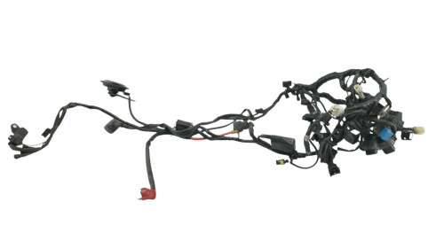 Faisceau electrique TRIUMPH STREET TRIPLE 675 2007 - 2011