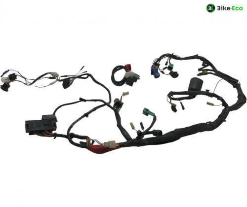 Faisceau electrique SUZUKI SV 650 N 1999-2002