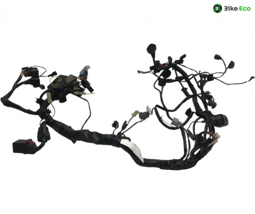 Faisceau electrique KAWASAKI Z 750 2004-2006