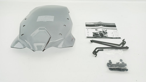 Bulle BMW R 1250 R 2019 - 2024