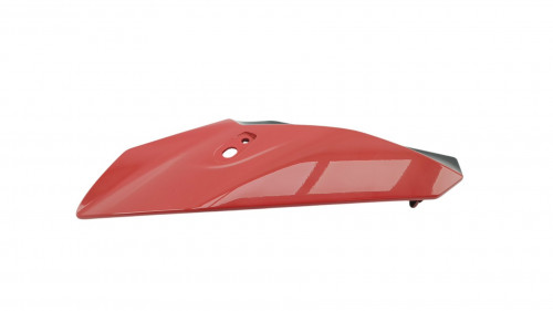 Cache lateral gauche BMW S 1000 R 2016 - 2020