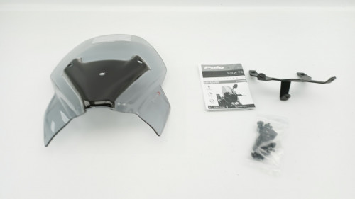 Bulle BMW F 900 R 2020 - 2025