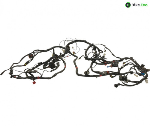 Faisceau electrique GILERA FUOCO 500 2013-2014 LT