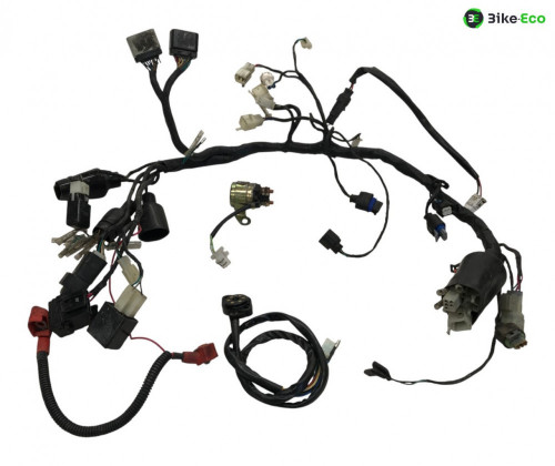Faisceau electrique BULLIT XF 125 2017-2022 SPIRIT