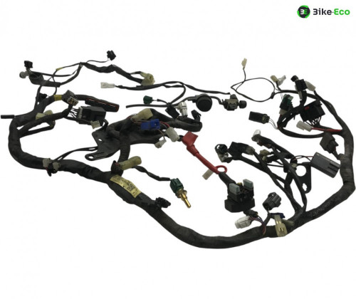Faisceau electrique YAMAHA TDM 900 2007-2010