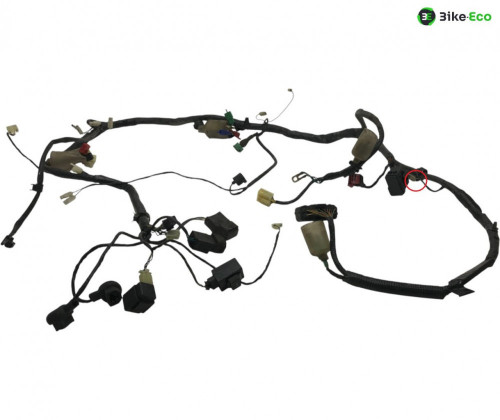 Faisceau electrique HONDA XL 1000 V 1999-2006 VARADERO