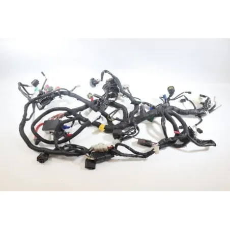 Faisceau electrique KTM RC 125 2014 - 2016