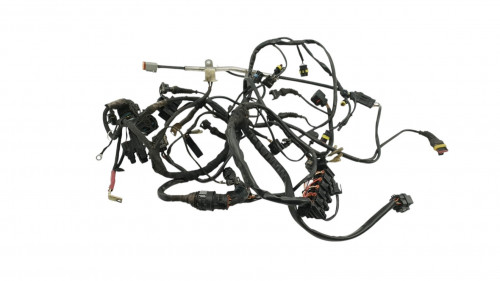 Faisceau electrique DUCATI MULTISTRADA 1000 DS 2003 - 2006