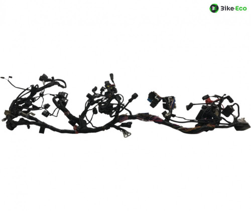 Faisceau electrique TRIUMPH STREET TRIPLE S 660 2017-2019