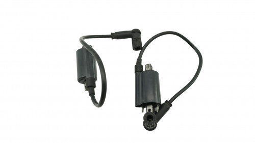 Bobine allumage DUCATI MONSTER 900 2001 - 2002