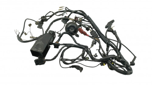 Faisceau electrique DUCATI MONSTER 900 2001 - 2002