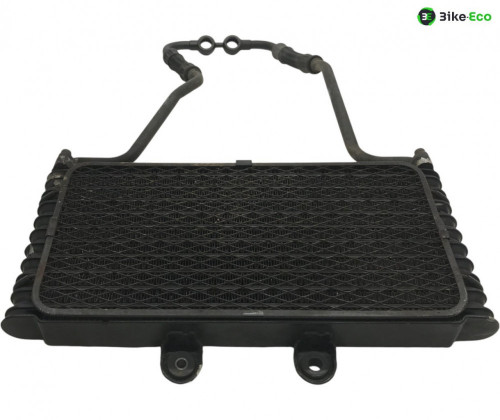 Radiateur huile SUZUKI GSF 1200 2001-2005 BANDIT S