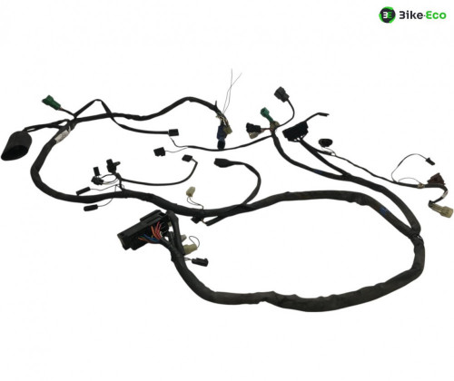 Faisceau electrique SUZUKI GSF 1200 2001-2005 BANDIT S