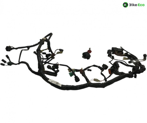 Faisceau electrique SUZUKI SV 650 S 2007-2015