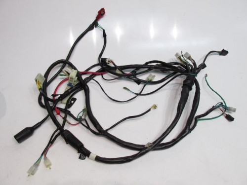 Faisceau electrique DAELIM S2 SQ 125 2006-2008 CARBU