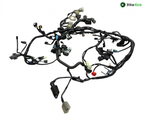 Faisceau electrique KAWASAKI Z 900 2020-2022 A2