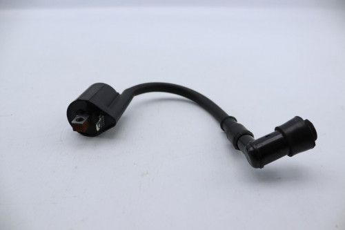 Bobine allumage RIEJU 50 MRT PRO 2022 - 2024