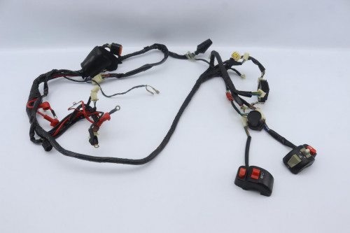 Faisceau electrique EUROCKA 50 GTR B 2015 - 2018